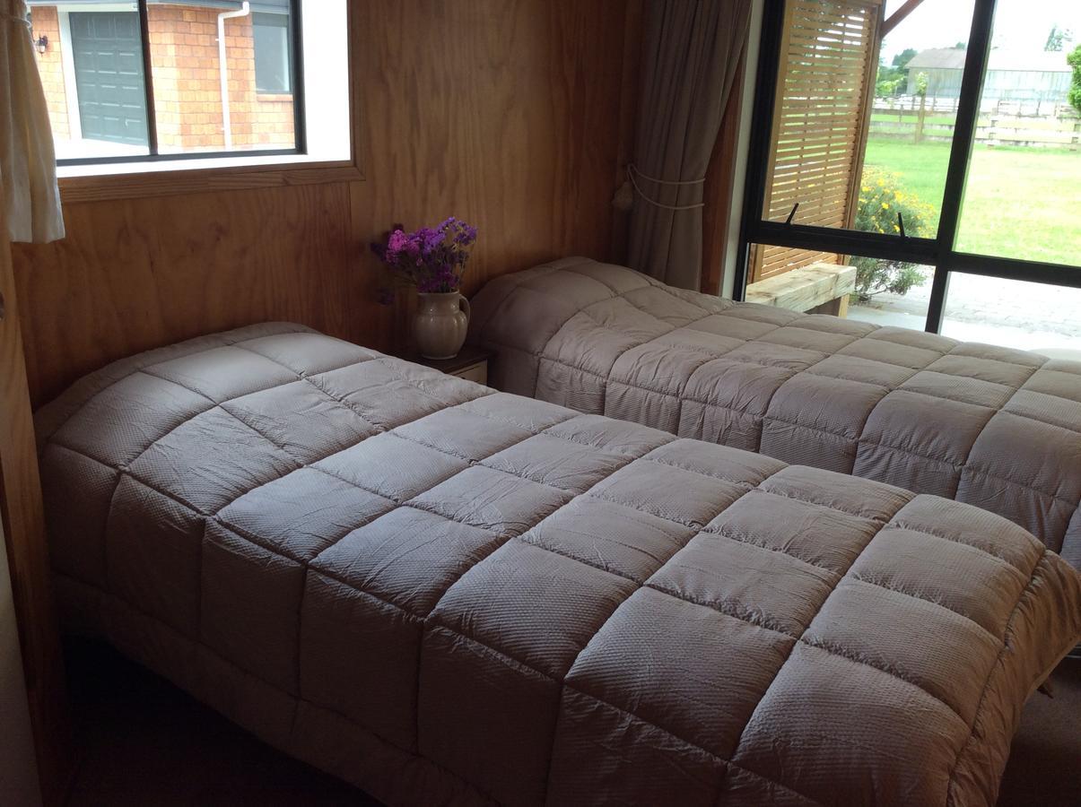 Pickering Road B & B 케임브리지 외부 사진